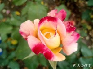 Kuan Xin Yuan Organic Eco Farm