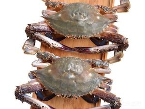 Jing Shui Ge Seafood (Shuifang Road Neighbourhood Center Branch)