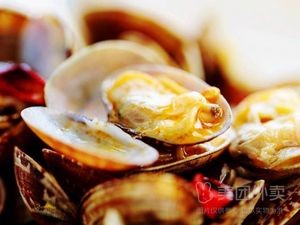 Again the Smoke (Shengze Branch)