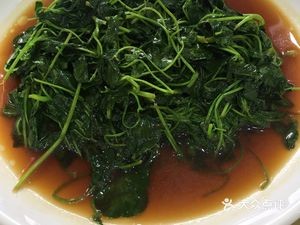 Xin Shengbei Restaurant