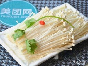 Xu Zhihong's Bookstore Lamb