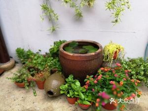 Mingya Liuzao Renjia