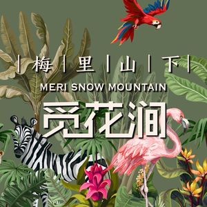 Meili Shanxia Mi Hua Jian · Yunnan Cuisine (Shilu Store)