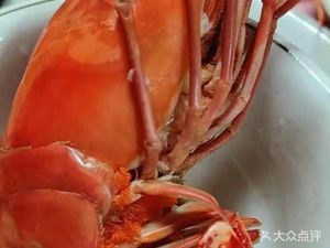 Yunqing Farmhouse Lamb Shop