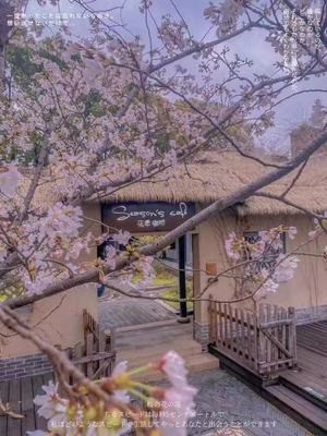 Hua Ji Coffee House (Taihu Store)