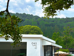 G42 Coffee · Tea