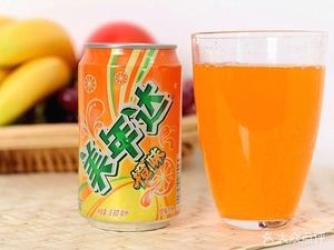 Roast Duck and Braised Pork Rice