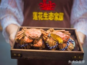 Lotus Ecological Home · Crabs