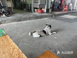 Shengxin Stir-Fry Fast Food (Dayufeng Commercial Plaza Store)