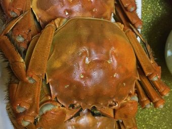 Yu Ming Crab Estate