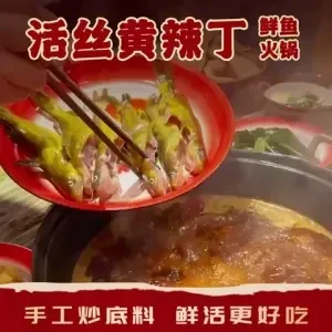 活丝黄辣丁•鲜鱼火锅(合肥首店)