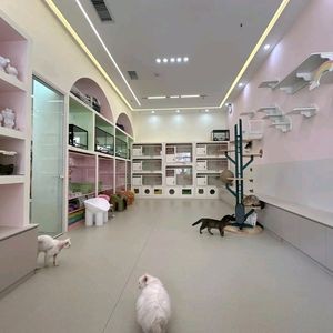 猫尔乐·奢宠·猫咖·撸猫