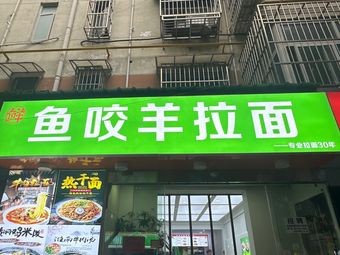 Fish Biting Lamb Noodles