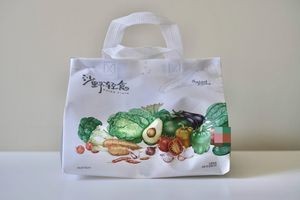 Sha Ye Light Food (Wenyi Haomeng Di Dian)