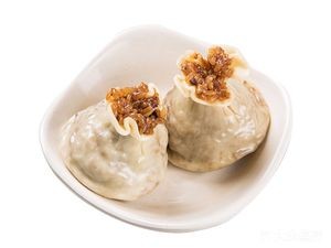 Authentic Nanjing Dumplings with Braised Chicken Rice