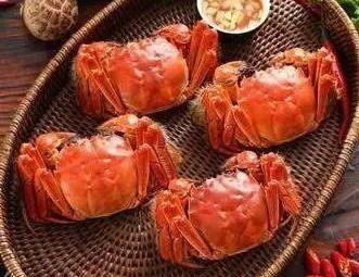 Yangchenghu Freshwater Crab Flagship Store