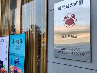 Yangcheng Lake Crab (Baoye Dongcheng Plaza Store)