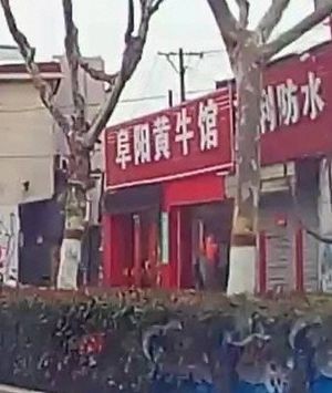 Fuyang Yellow Beef House