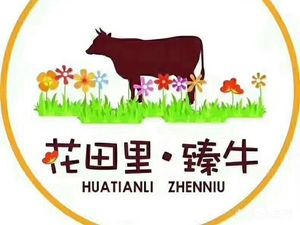 Hua Tian Li · Premium Beef Hot Pot with Health Benefits (Jiatai Xia Store)