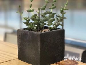 Baili Central Food Court