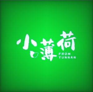 Xiao Bohuo Yunnan Sour Beef Hotpot