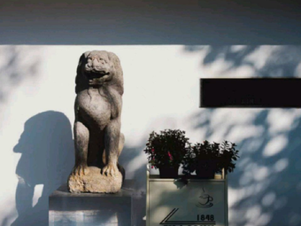 Lin's Garden Courtyard