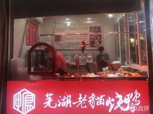 Old Cat Wuhu Roast Duck