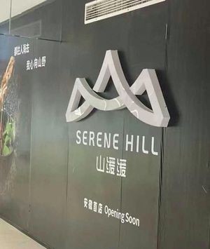 Shan Huan Huan Hot Pot (Hefei Yintai Center Branch)