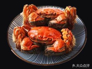 Crab Full Record Yangcheng Lake Crab