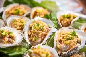 Starlight Campfire Grill