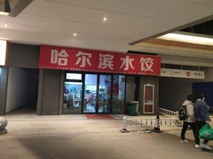 Harbin Dumplings (Longyu City Store)