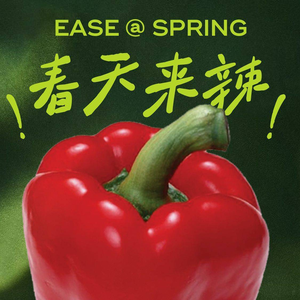 Rongyi · Sichuan Flavors (Foshan First Store)