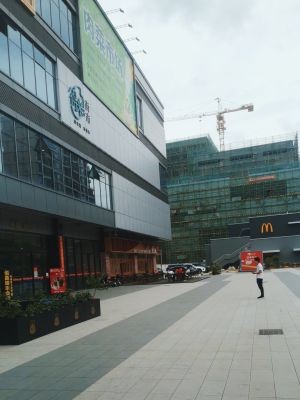 Da Dongbei (Yunfeng Road Store)