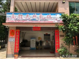 Nansheng Natural Pigeon