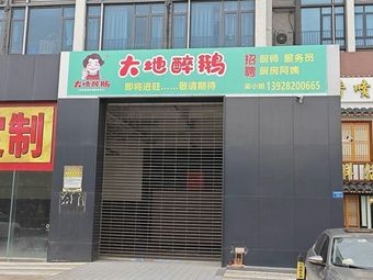 大地醉鹅(南国店)
