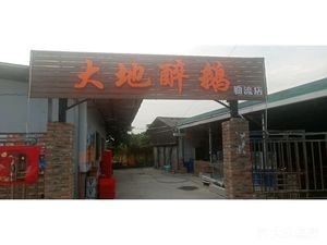 Da Di Zui E (Leliu Fu'an Store)
