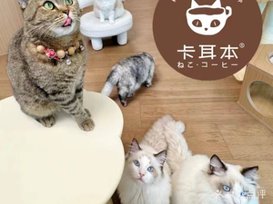 Kearben Miyazaki Studio Cat Cafe (Yueran Plaza Store)