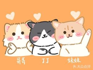 Three Cats Coffee miao cafe