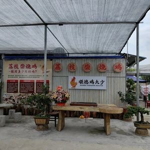 Shunde Chicken King Lychee Wood Roast Chicken