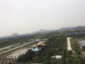 Wen Ji Garden Cuisine