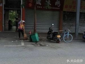 Jun'an Flavor Goose (Longyong Branch)