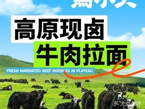 Maxiaohuo Original Soup Beef Noodles (Shunde Beijiao Branch)