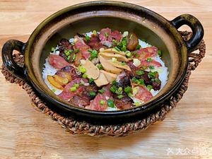 Zhenxiang Minghuo Bozi Fan · Shunde Cuisine