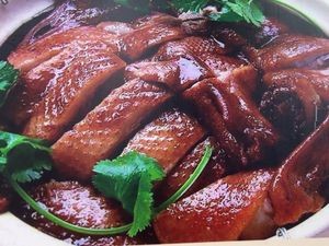 Yuanwei Goose