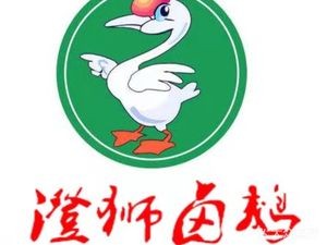 Cheng Shi Roast Goose (Foshan Branch)