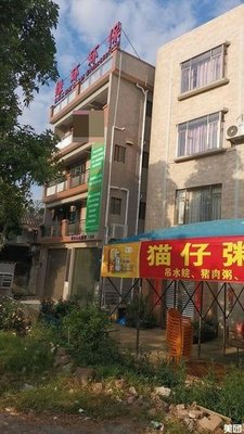 Cat Rice Noodle Shop