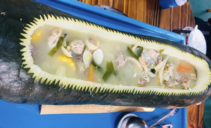 Shunde Gong · Taohua Yuan Farmhouse (Nanhai Store)