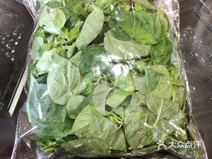 Jinshan Fang Modern Agricultural Technology Co., Ltd.