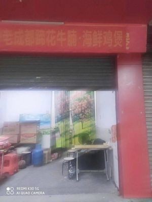 Old Chengdu Hoof & Beef Noodle Seafood Chicken Pot