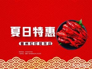 Leizhou Red Lantern Lamb Restaurant (Danzhao Store)